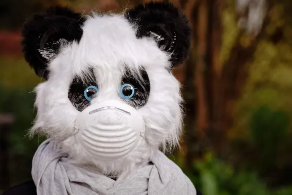 سلوتس وين كازينو الدعم